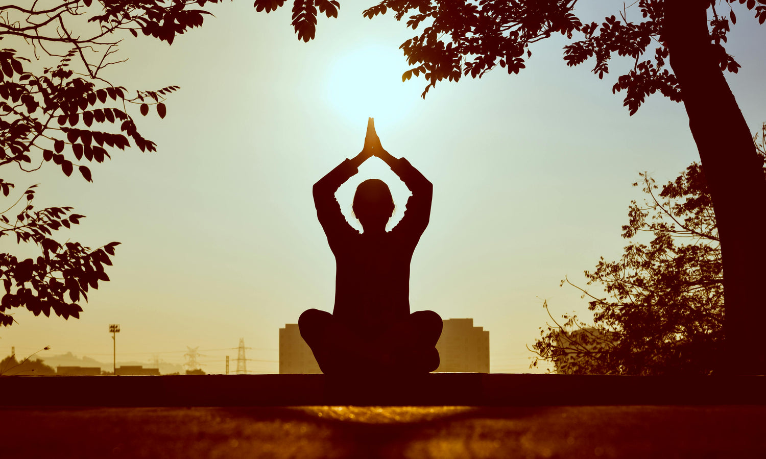 Religion & Spirituality